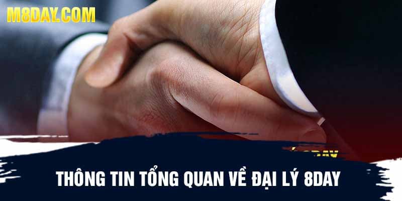 Thông tin tổng quan về đại lý 8day 