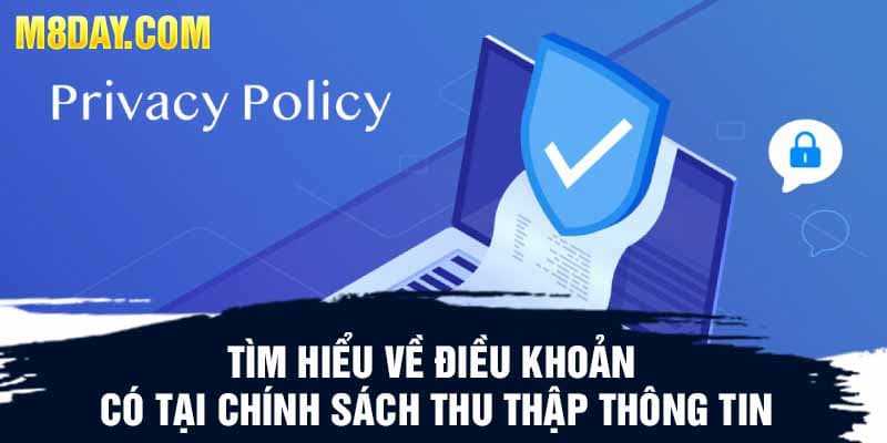 Tìm hiểu về điều khoản có tại chính sách thu thập thông tin